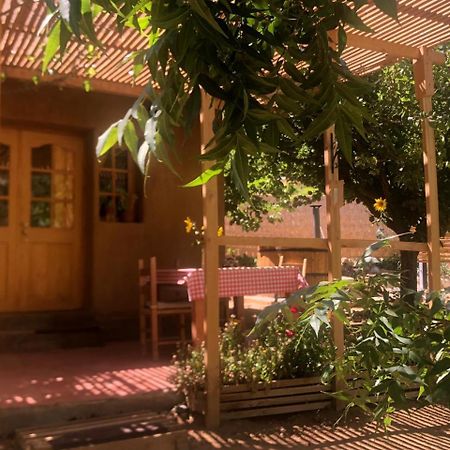 Puma Cottage Horcón Extérieur photo