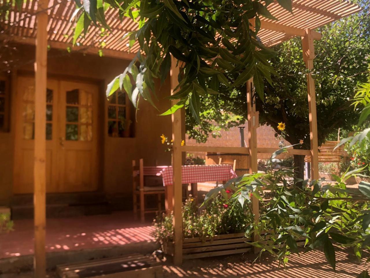 Puma Cottage Horcón Extérieur photo
